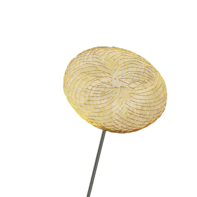 Linha Congênita Boyton