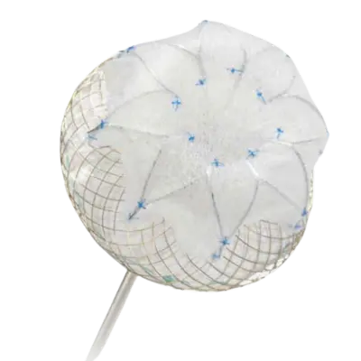 Sistema de Fechamento do Apêndice Atrial Esquerdo (LAA)